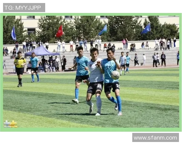 足球明星训练方式的多样性与科学性探讨